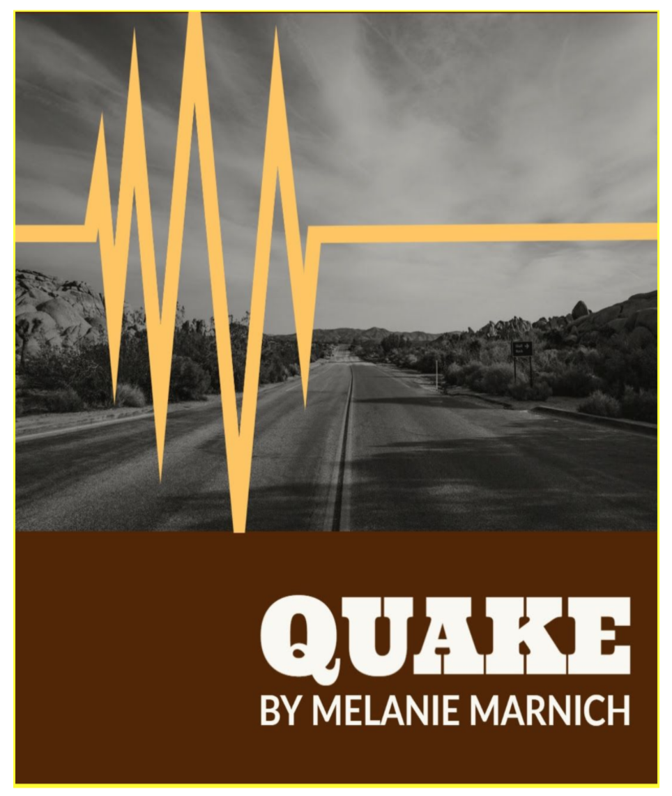 Quake program cover