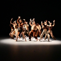 A group of dancers in earth-toned clothing and a pool of light pose in a circle with their hands in the air